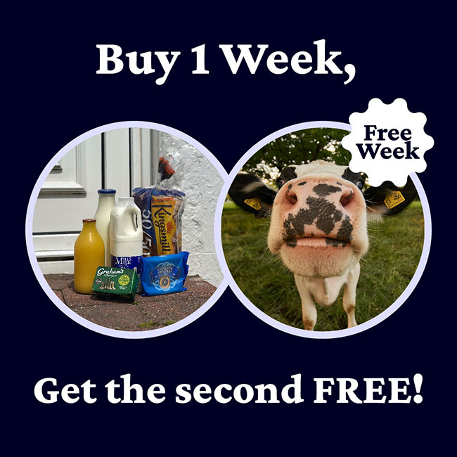 FREE week of milk deliveries | Mills Milk