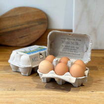 eggs